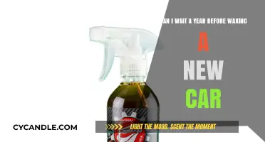 Should You Wait a Year Before Waxing Your New Car?