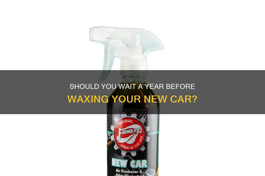 can i wait a year before waxing a new car