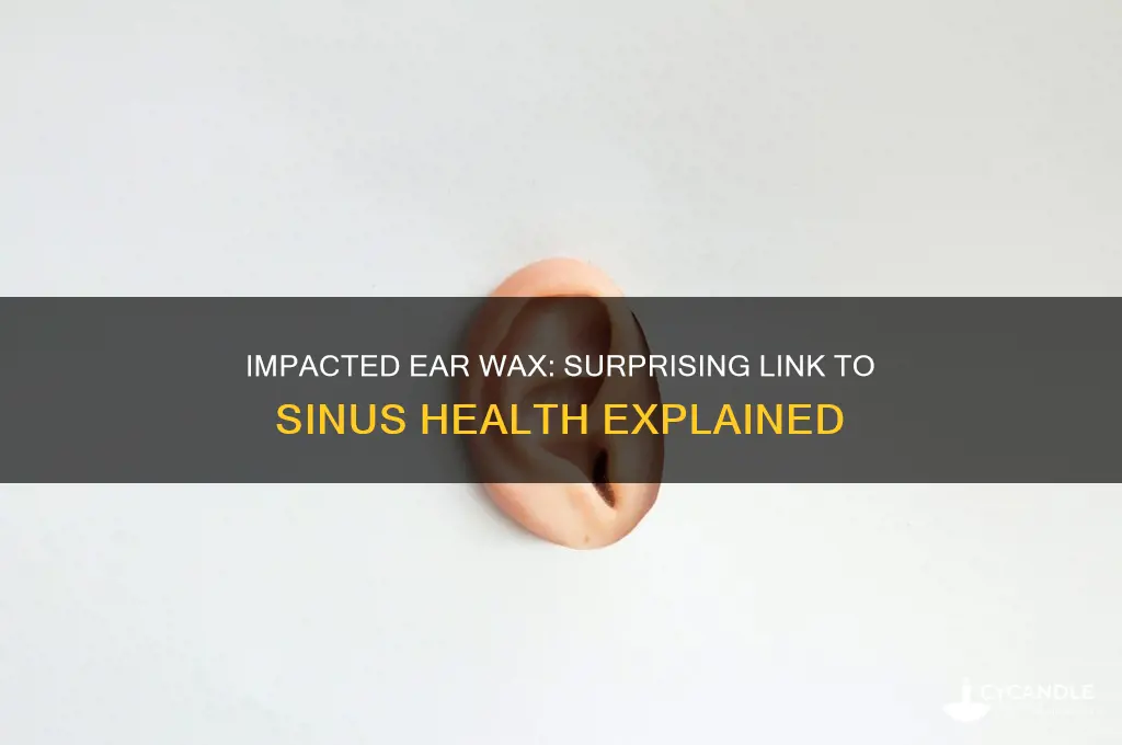 can impacted ear wax affect sinuses