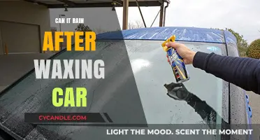 Can Rain Damage a Freshly Waxed Car? Expert Tips and Advice