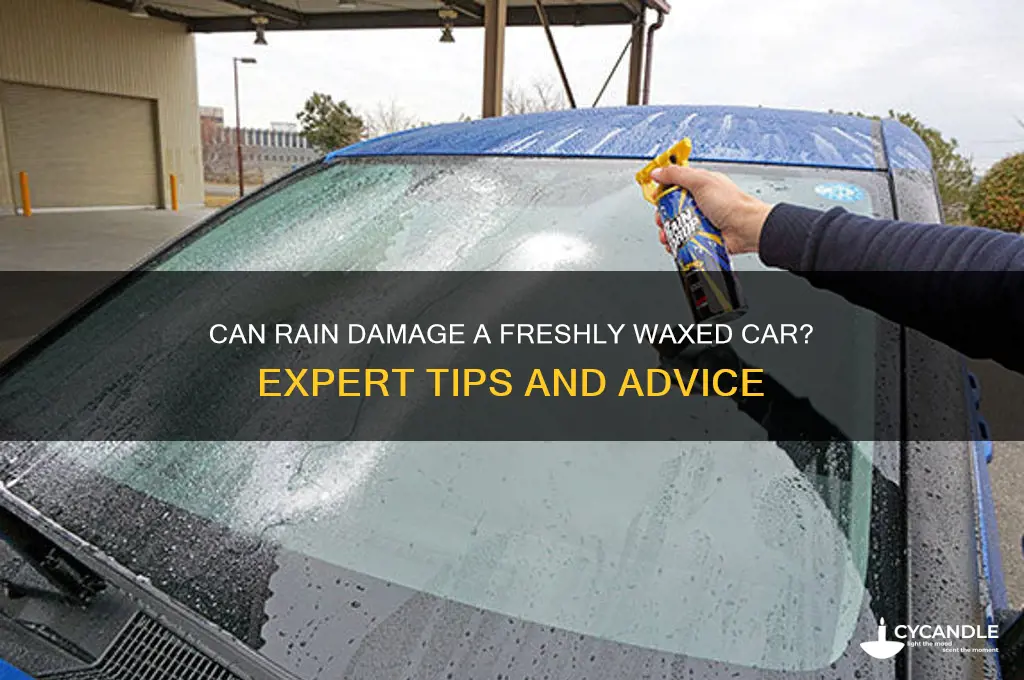 can it rain after waxing car