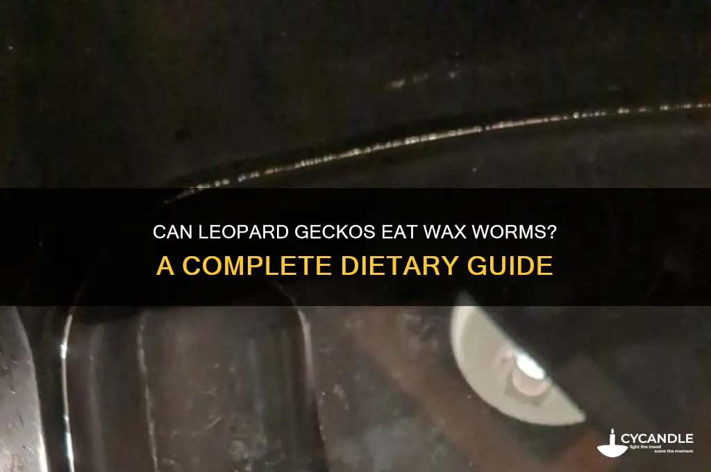 can leopard gecko eat wax worms