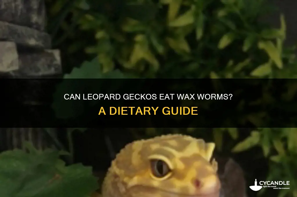 can leopard geckos eat wax worms