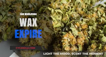 Does Marijuana Wax Expire? Shelf Life and Storage Tips Explained
