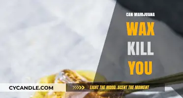Can Marijuana Wax Be Fatal? Exploring the Risks and Truths