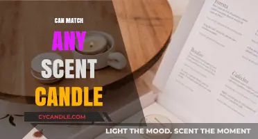 Discover the Ultimate Scent-Matching Candle for Every Fragrance Lover