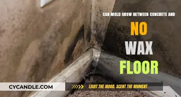 Can Mold Thrive Between Concrete and No-Wax Floors? Find Out!