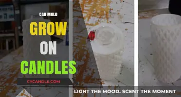 Can Mold Grow on Candles? Surprising Facts and Prevention Tips