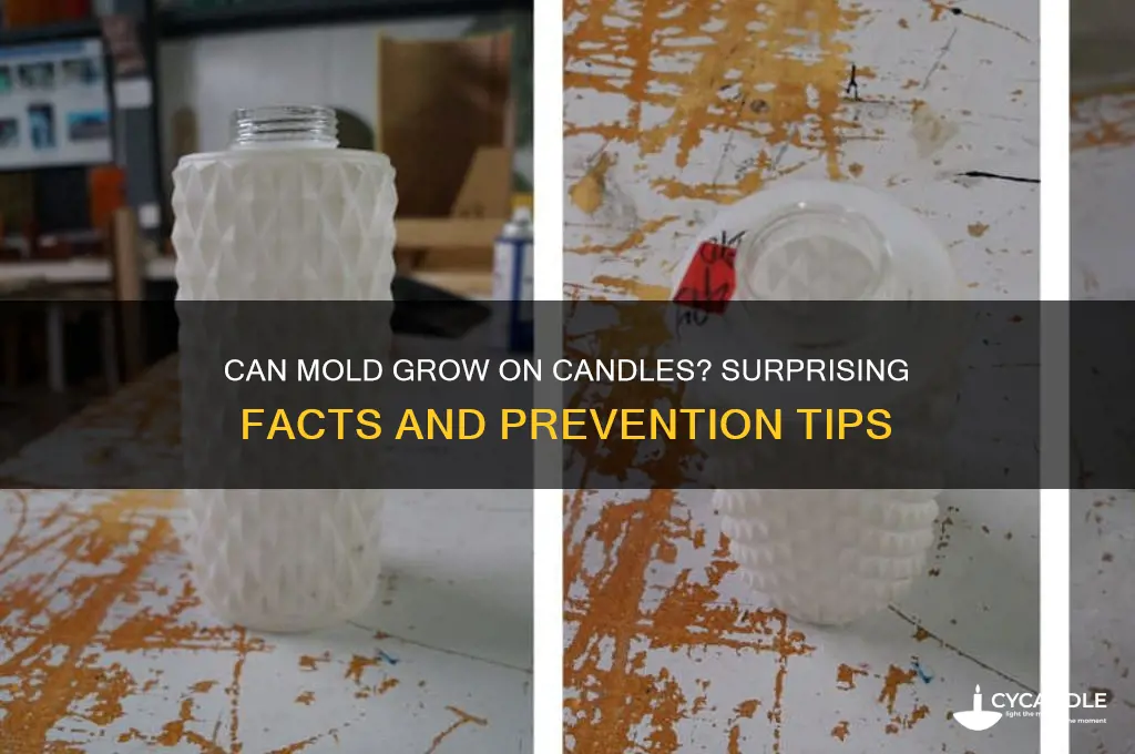 can mold grow on candles