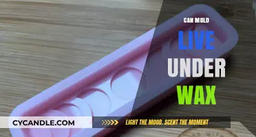 Can Mold Survive Under Wax? Uncovering the Hidden Truth