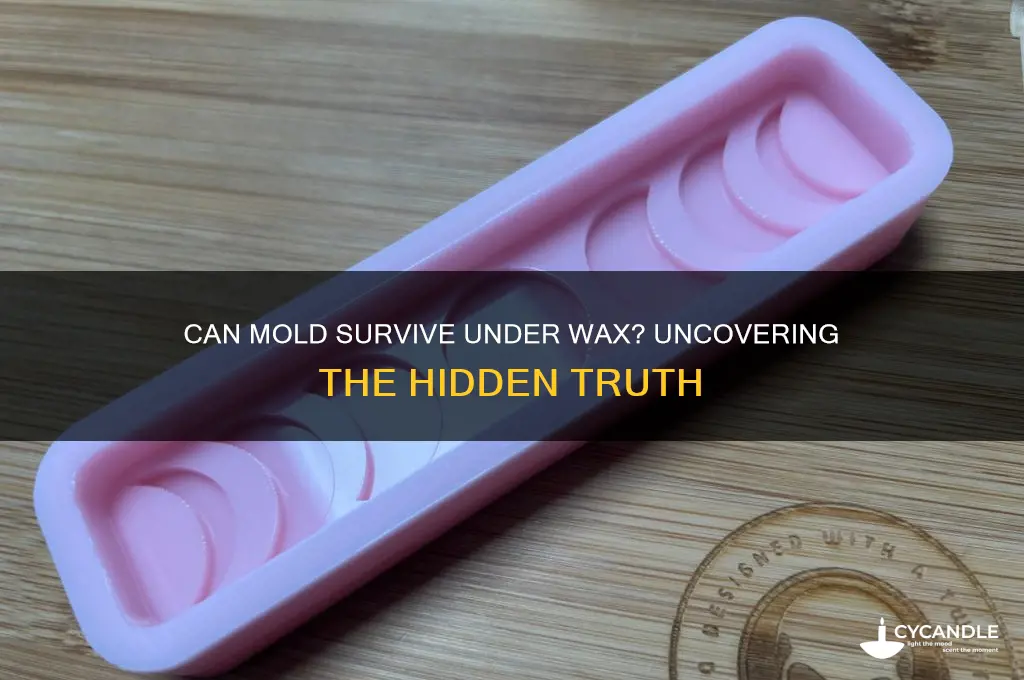 can mold live under wax