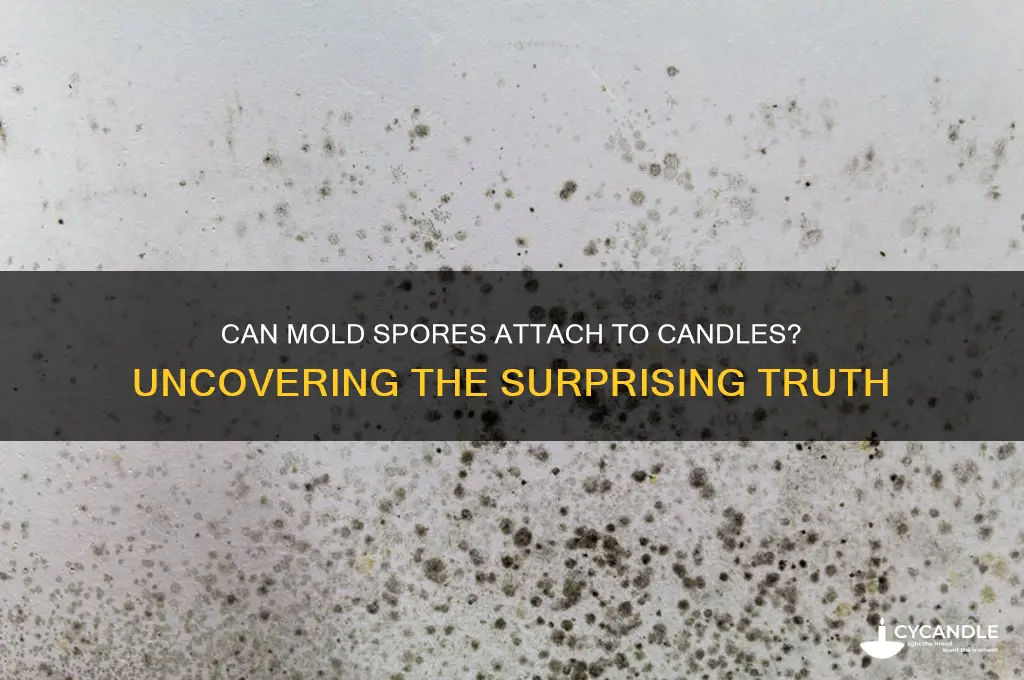 can mold spores attach to candles