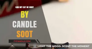 Candle Soot and Cats: Potential Health Risks and Safety Tips