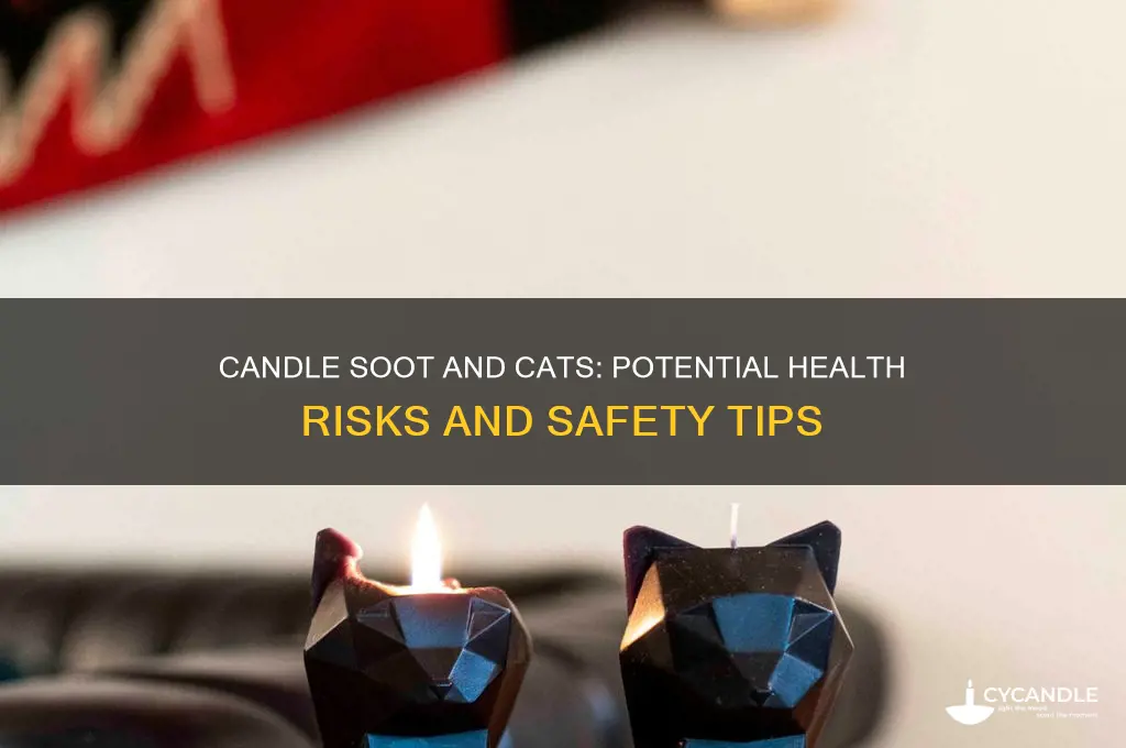 can my cat be hurt by candle soot