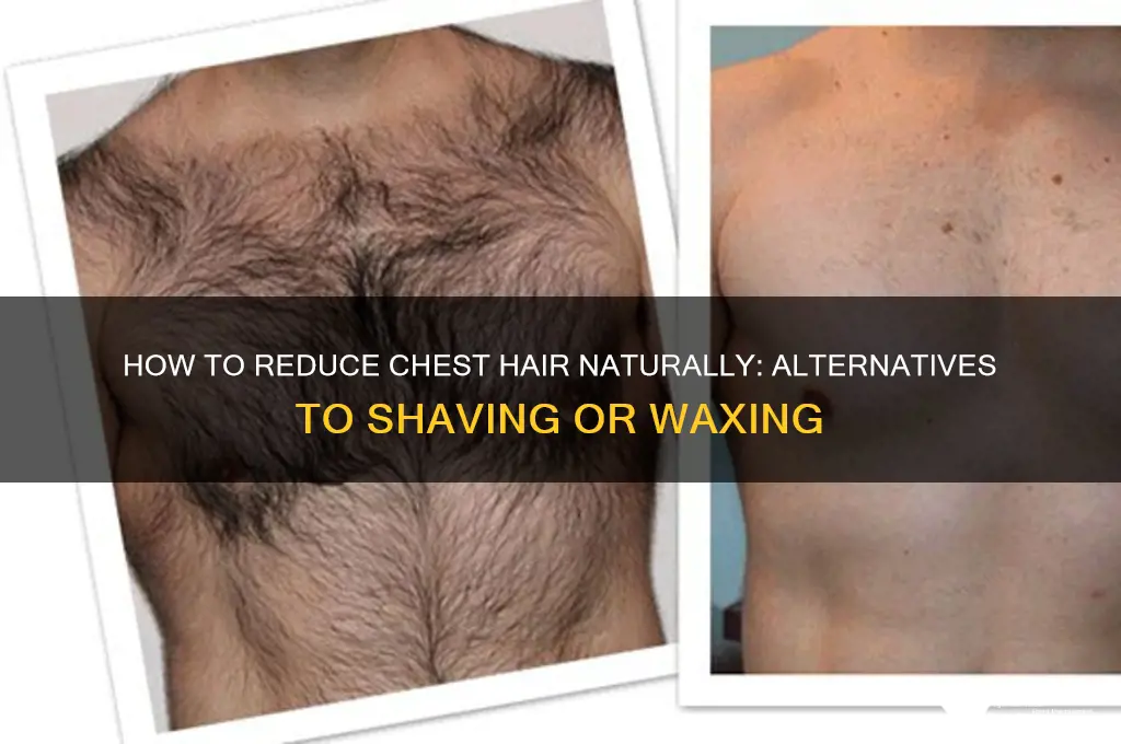 can my chest hair go away without shaving or waxing