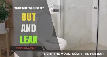 Toilet Wax Ring Dry Out? Prevent Leaks with These Tips