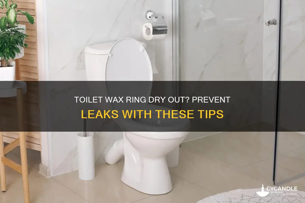 can my toilet wax ring dry out and leak