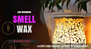 Can Neighbors Smell Wax Melts? Exploring Scent Diffusion and Boundaries