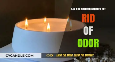 Unscented Candles: Effective Odor Eliminators or Just a Myth?