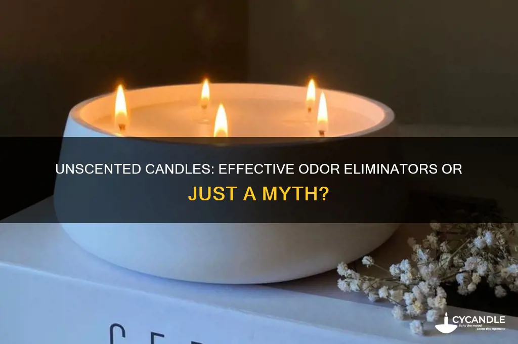 can non scented candles get rid of odor