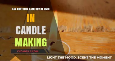 Using Northern Bayberry in Candle Making: Benefits and Techniques