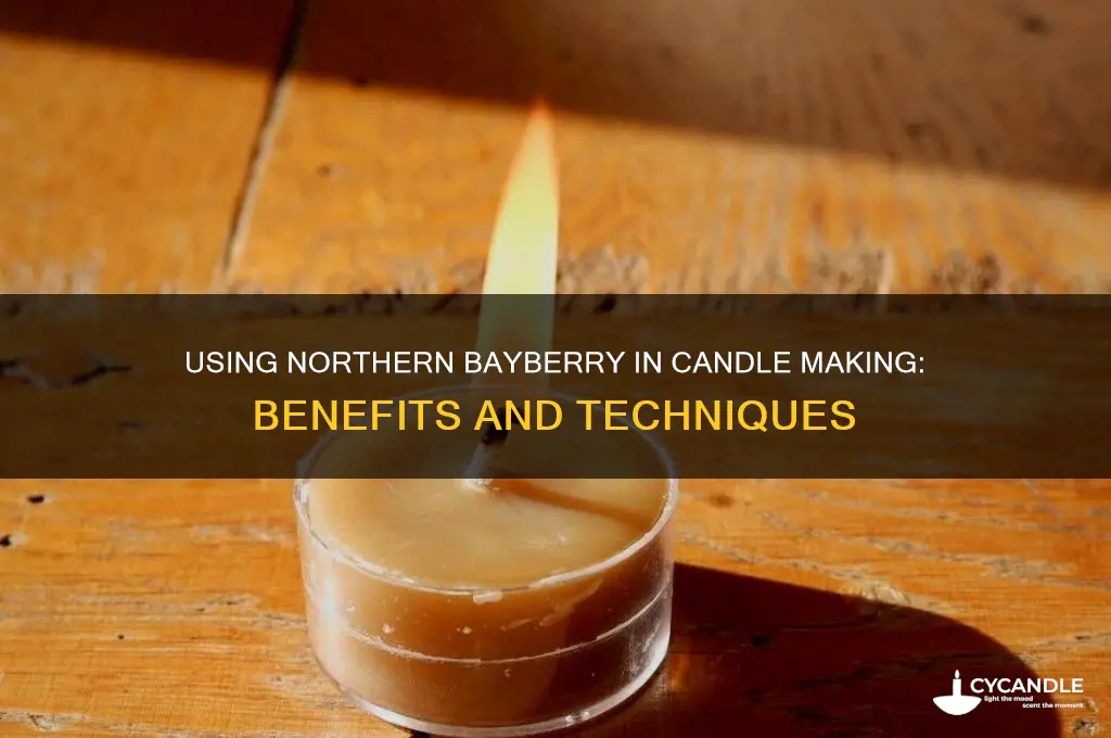 can northern bayberry be used in candle making
