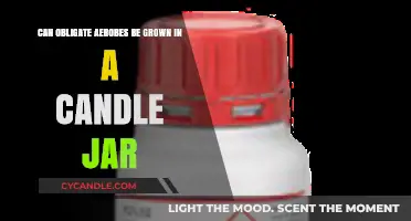 Growing Obligate Aerobes in a Candle Jar: Feasible or Fatal?
