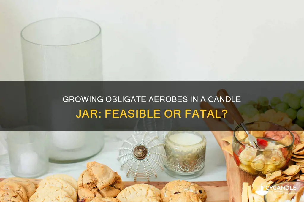 can obligate aerobes be grown in a candle jar