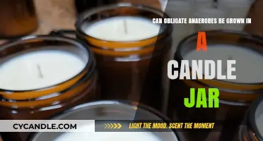 Growing Obligate Anaerobes in Candle Jars: Feasible or Fiction?