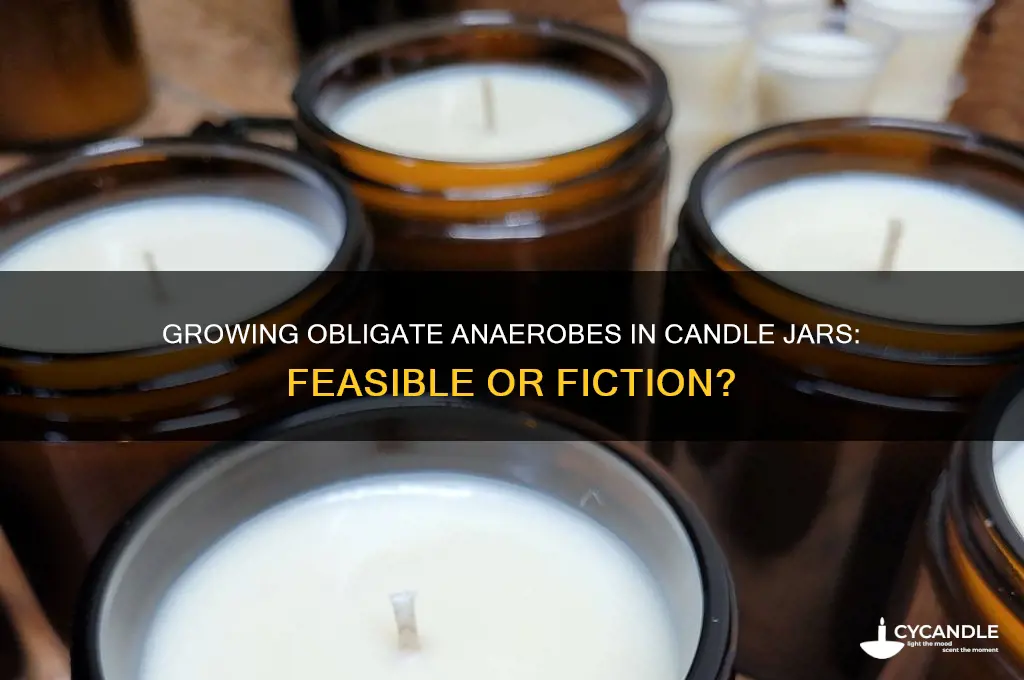 can obligate anaerobes be grown in a candle jar