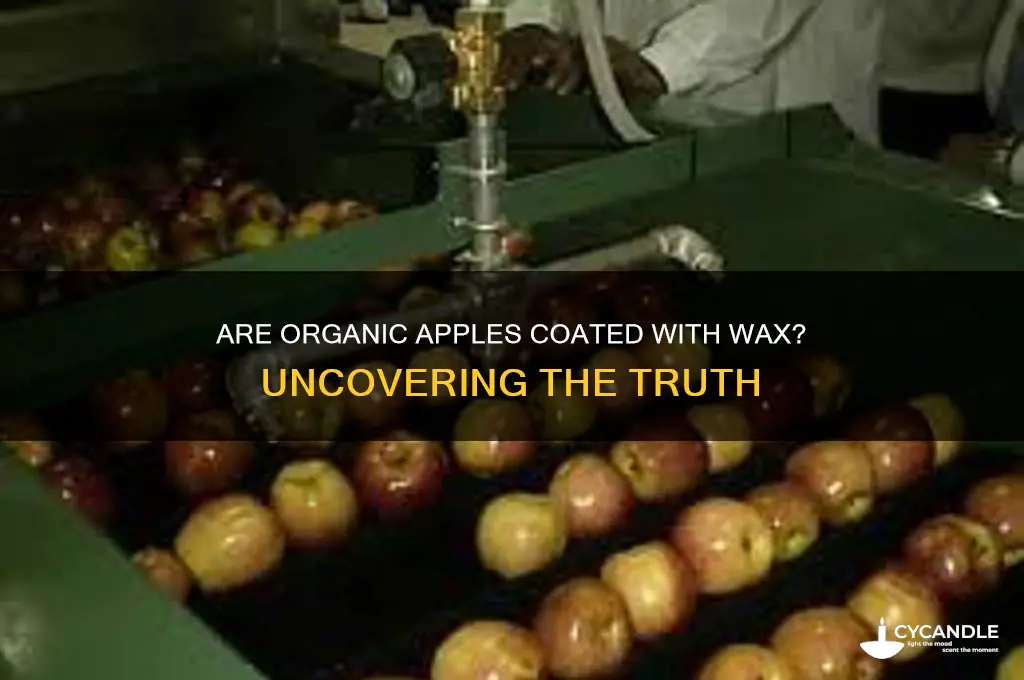 can organic apples have wax on them