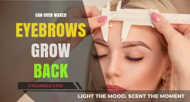 Over-Waxed Eyebrows: Can They Regrow? Tips for Recovery