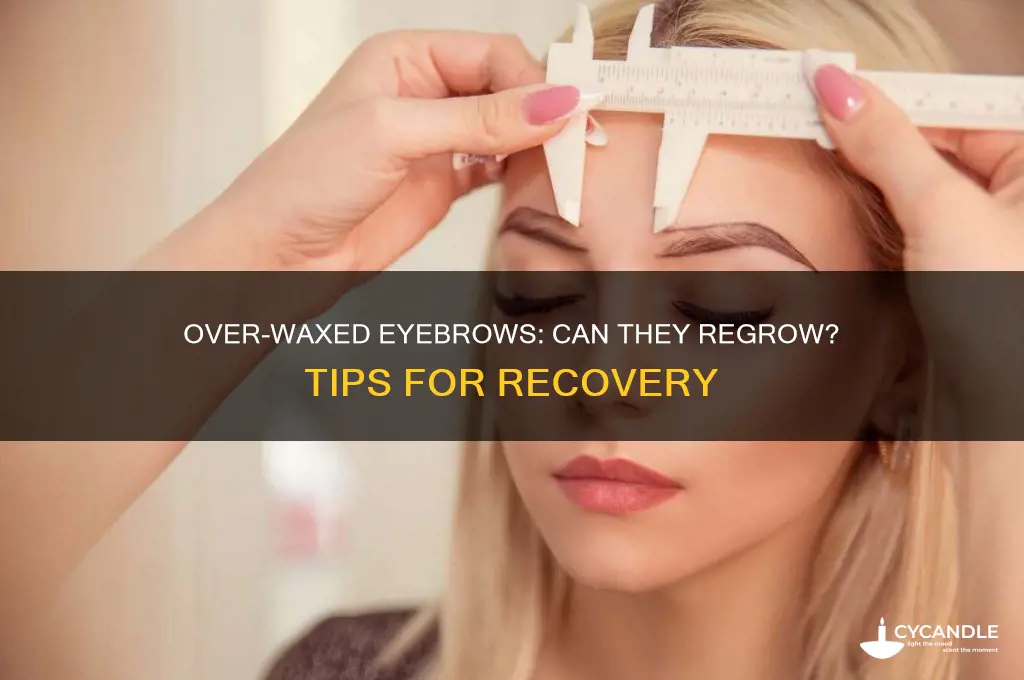 can over waxed eyebrows grow back