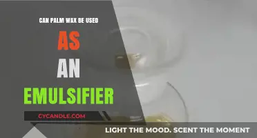 Palm Wax as Emulsifier: Benefits, Uses, and Sustainability Explained