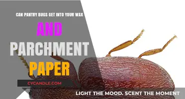 Pantry Bugs in Wax and Parchment Paper: What You Need to Know
