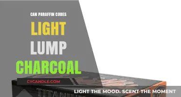 Can Paraffin Cubes Effectively Light Lump Charcoal for Grilling?