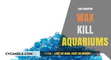 Paraffin Wax in Aquariums: Potential Risks and Safe Alternatives