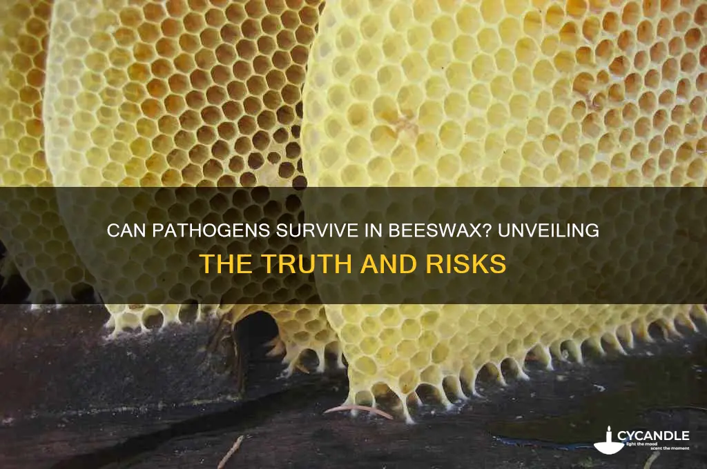 can pathogens survive in bees wax