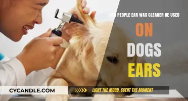 Can Human Ear Wax Cleaners Safely Clean Your Dog's Ears?
