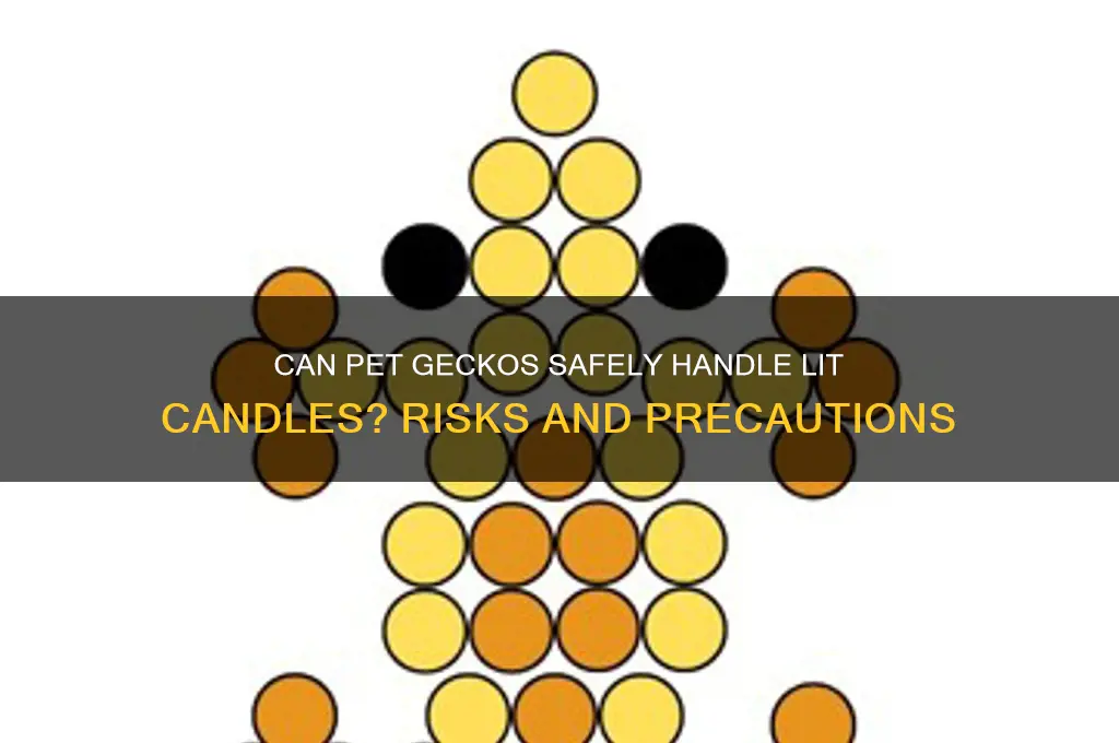 can pet geckos handle lit candles
