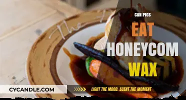 Can Pigs Safely Eat Honeycomb Wax? A Dietary Insight