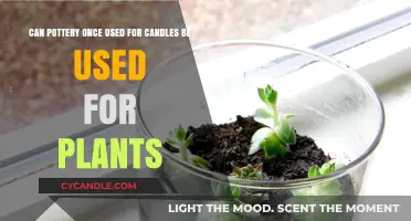 Repurposing Candle Jars: Can Old Pottery Hold Your Plants?