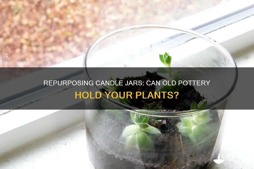 can pottery once used for candles be used for plants