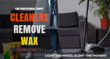 Professional Carpet Cleaning: Effective Wax Removal Techniques Explained