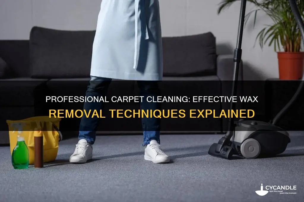 can professional carpet cleaners remove wax