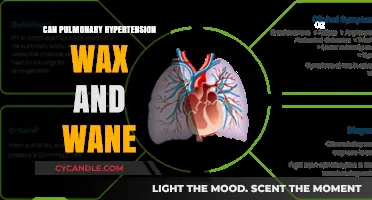 Understanding Pulmonary Hypertension: Can Symptoms Fluctuate Over Time?