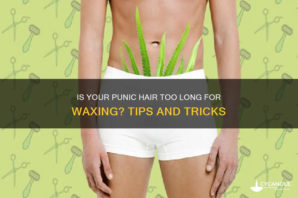 can punic hari be too long for wax