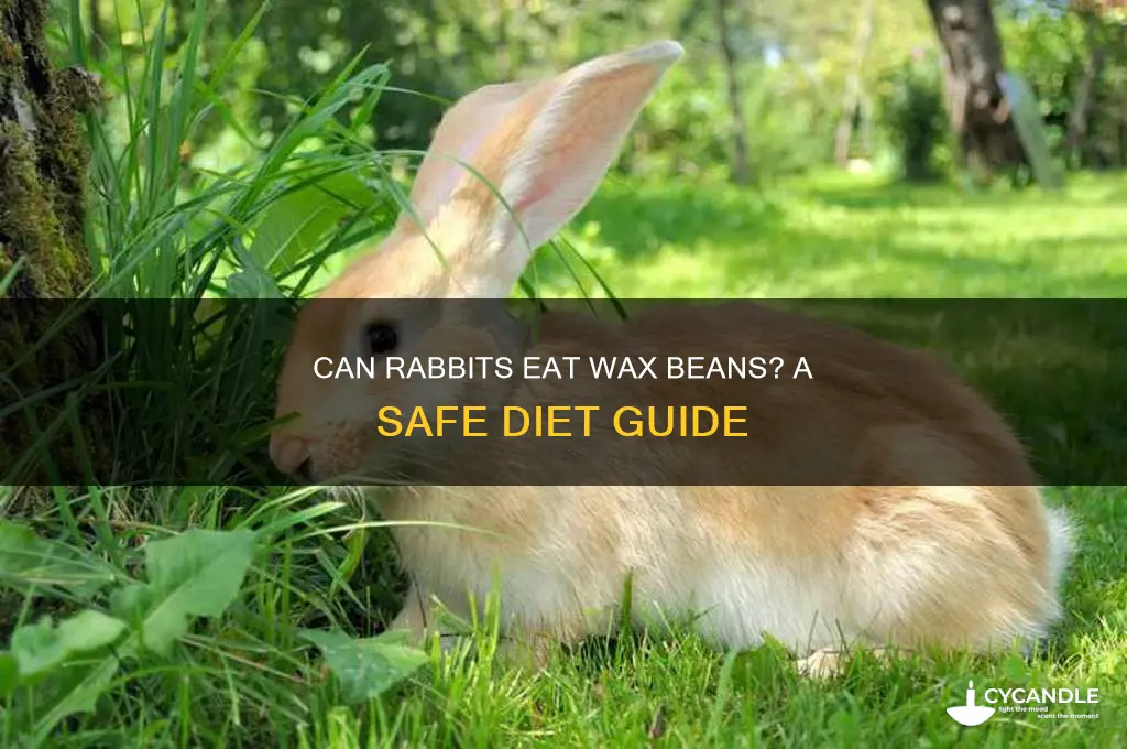 can rabbits eat wax beans