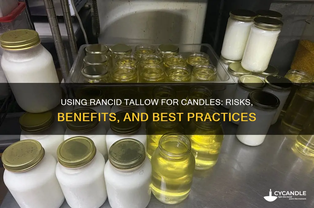 can rancid tallow be used to make candles