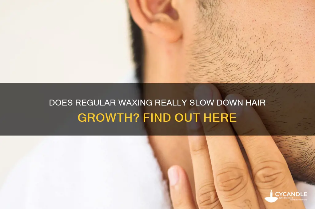can regular waxing reduce hair growth